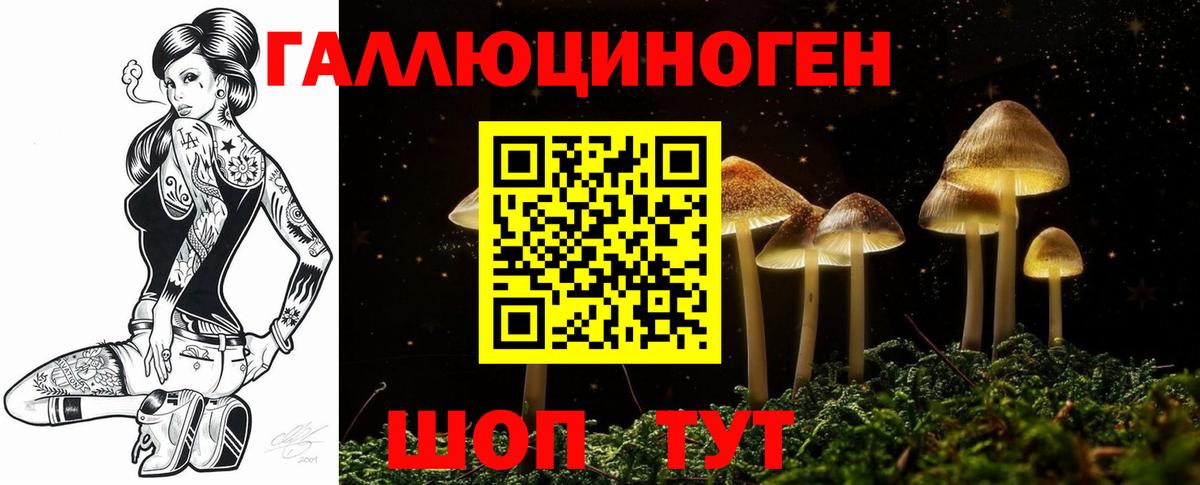 Псилоцибиновые грибы Cubensis  Псилоцибиновые грибы прущие грибы  Вход с VPN  Лысьва 